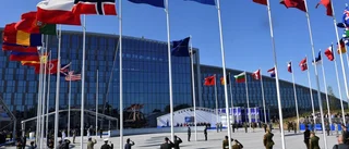 Låt folket säga sitt om medlemskap i Nato