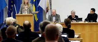 En lång väg fram till fullmäktige