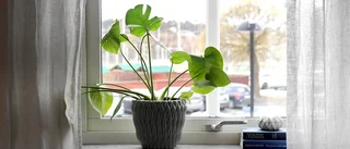 Förslaget: kraftig hyreshöjning