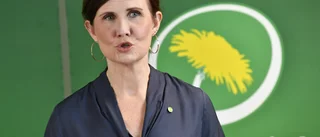 Grönt språkrör med egen agenda