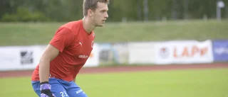 Bissarna kan få allsvenskt motstånd nu