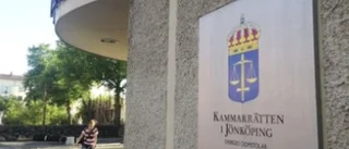 Mörkläggningens påhejare i verk och domstolar 