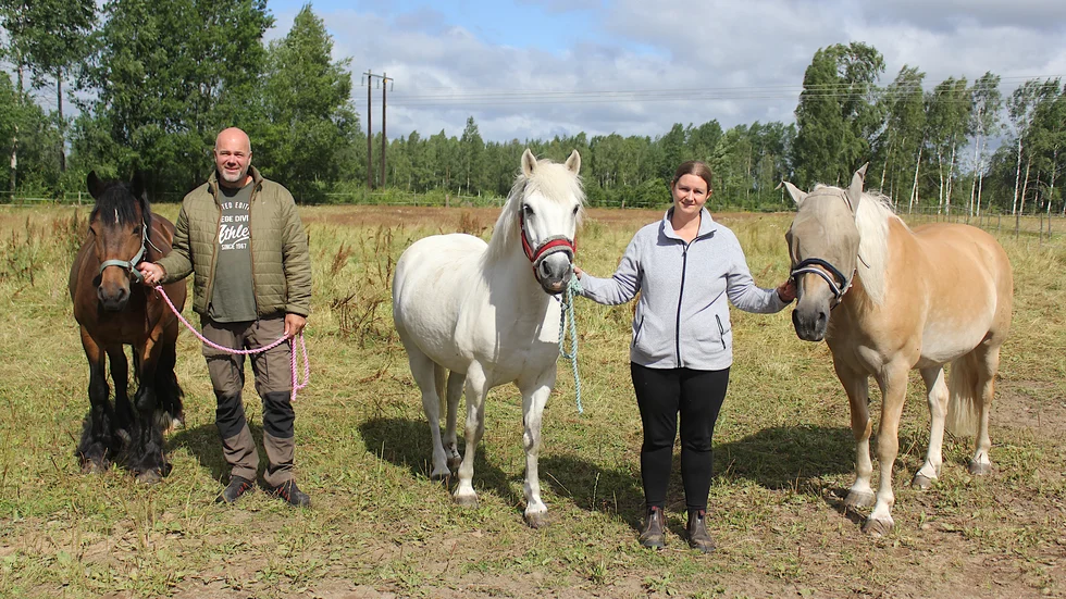Tre av nykomlingarna i stallet: Tommy D, Stiven och Lukas. "Pausen har gjort gott, vi väljer att se den som en nystart", säger Jonas Persson och Annika Fransson, som dock inte kan blunda för att ekonomin är en stor utmaning. 