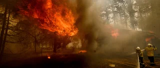 Efter brandkatastrofen: Markägare manas röja