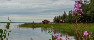 Bilden                                                 