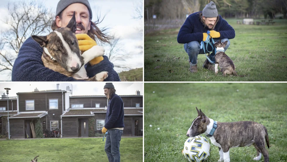 Christian Björkman och hans familj har skaffat hunden Våfflan. Det går bra eftersom Christian arbetar hemifrån under pandemin.