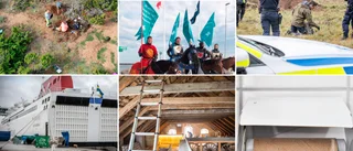 QUIZ Vad minns du från nyhetsåret 2020?