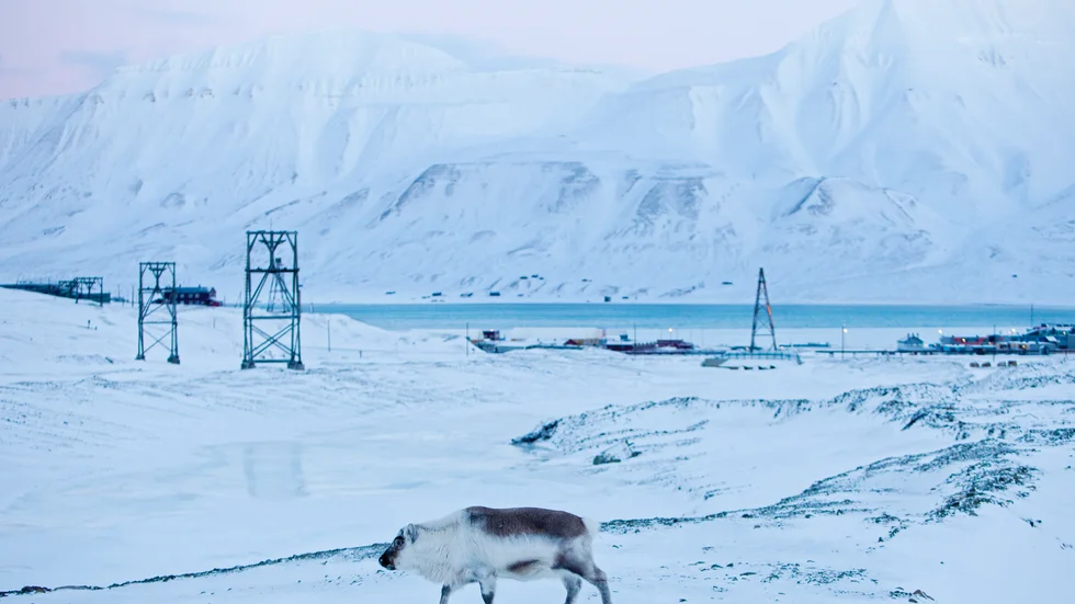 De senaste åren har utsläppen från kolkraftverket i Longyearbyen på den norska ögruppen Svalbard ökat. Arkivbild.