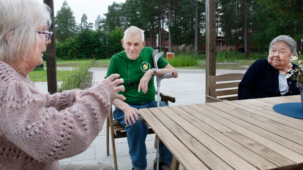 Märta Perdahl, Allan Fogman och Vanja Bergkvist har nya projekt i pipen. 