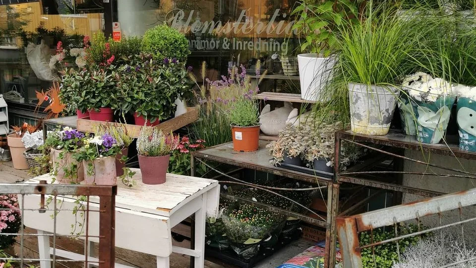 Staketet lyftes bort och varor stals från butikens altan. Nu är händelserna polisanmälda.