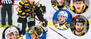 Hockeybilagan 2020: Spelare som Skellefteå AIK förädlat genom åren