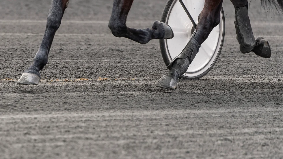 Under tisdagen tvingades V64-tävlingarna flytta från Sundbyholm till Solvalla. Anledning? Tjällossning.
