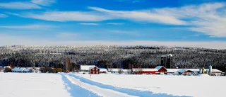 Vinter vid Luleälven             