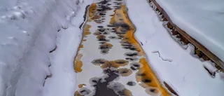 Läsarbilden; en färggrann kanal