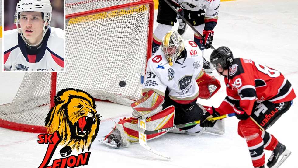 Matt Maggio, senast i Windsor Spitfires, är klar för SK Lejon i hockeyettan och bli då den tredje OHL-talangen som skrivit på för klubben på kort tid. 