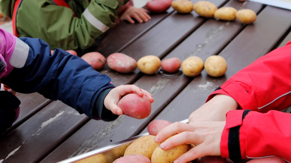 Barn till sjuka föräldrar lämnas utomhus till förskolepersonal. De flesta förskolor lägger också en stor del av tiden utomhus, enligt en anställd.