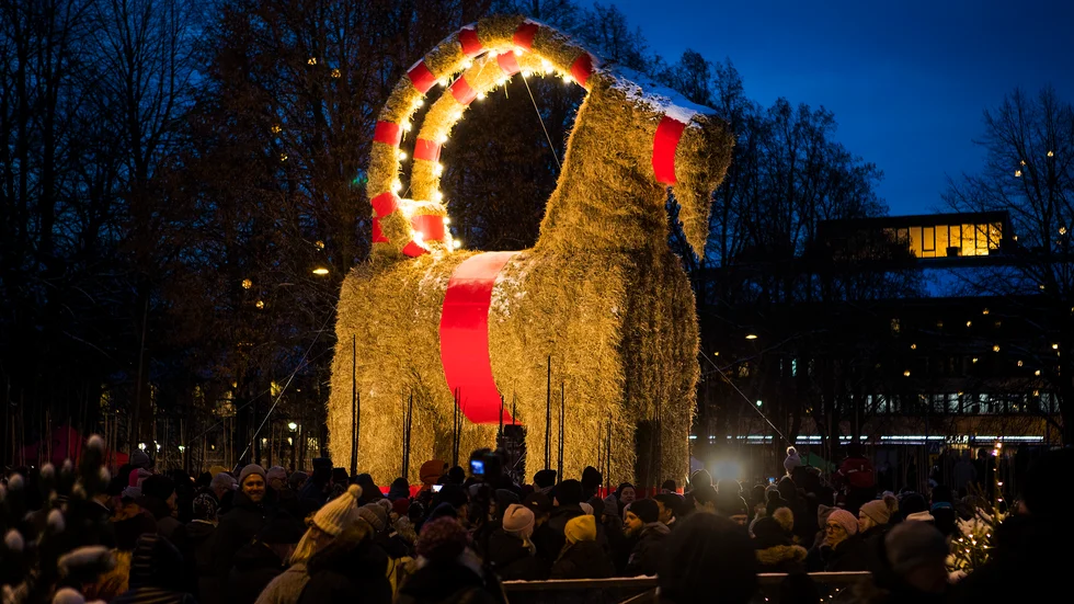 Förra årets Gävlebock omgiven av fler än 50 personer. Arkivbild.