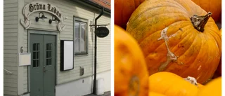 Från mys till rys i Sigtuna under lovet
