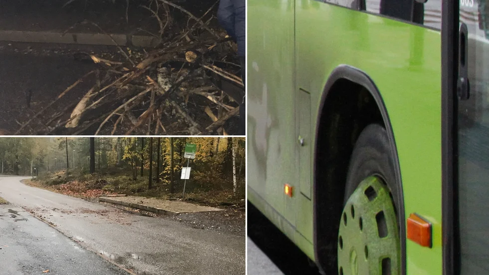 En stor hög med trädstammar och sly hade byggts upp på Svedjevägen i onsdags kväll vilket medförde att busschauffören inte kunde åka vidare förrän trafikledare kallats in och flera personer i olika åldrar med gemensamma krafter gjort körbanan någorlunda ren igen.