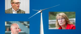 Delade meningar om vindkraftsveto: "Värna självstyret"