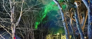 Läsarbilden: Norrsken över Persön
