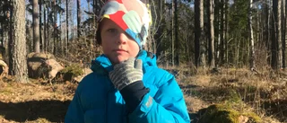 Alwin gillade sagostigen: "Det var kul att leta efter gosedjur"