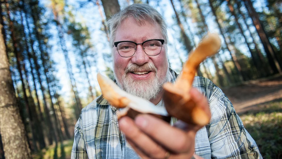 Svampkonsulenten Per-Axel Karlsson tror på ett rekordår för goliatmusseronen, världens dyraste svamp. (Arkivbild)