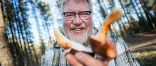 Svampkonsulenten tror på musseronrekord
