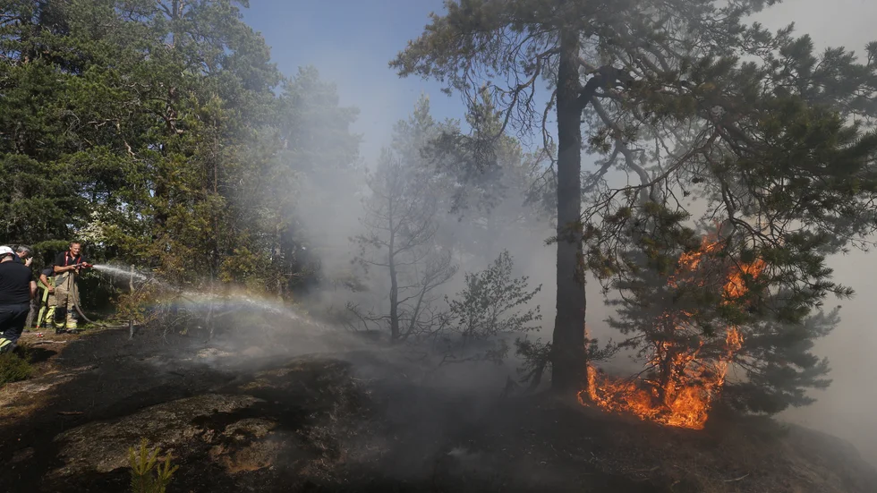 Genrebild: Brandpersonal bekämpar en skogsbrand.