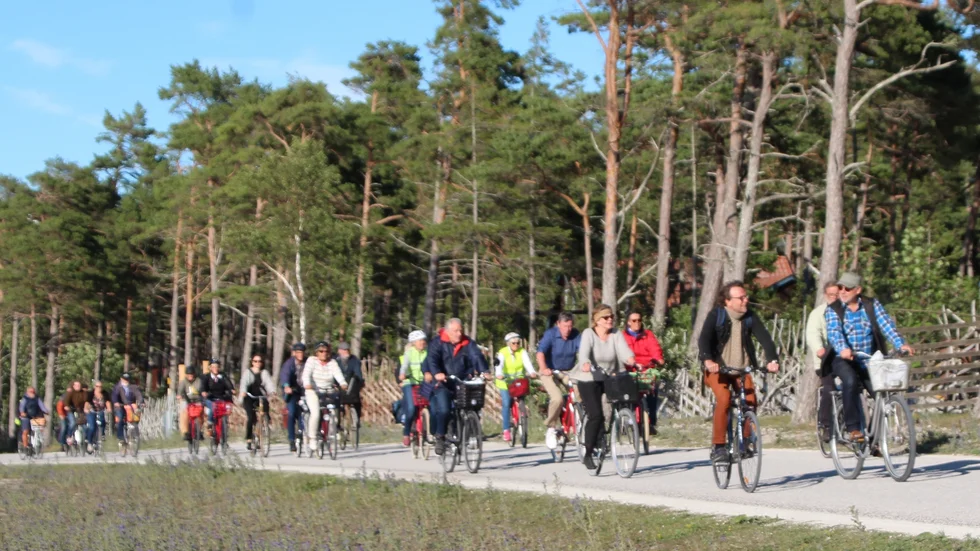 Cykelutflykt längs med Ekstakusten med 40-talet deltagare.