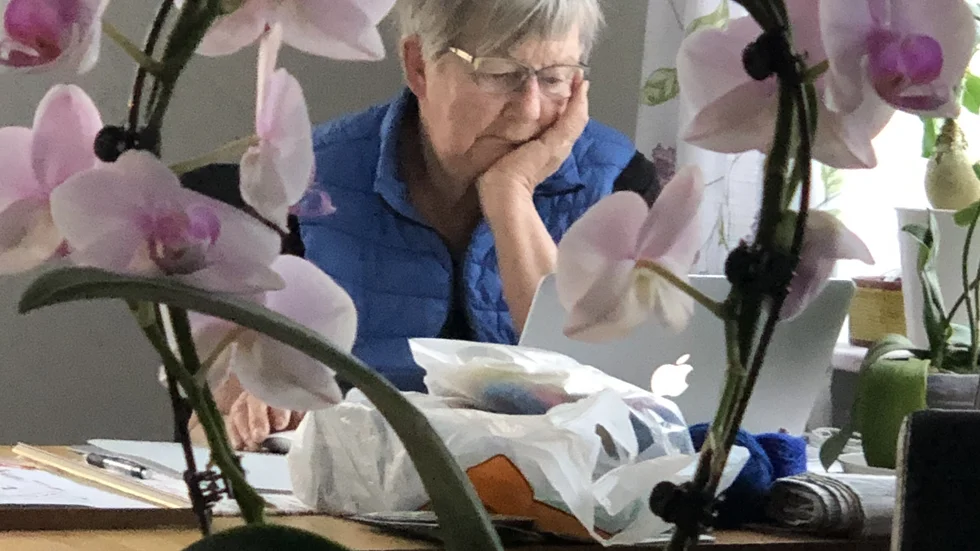 Lisbeth Dahlqvist
