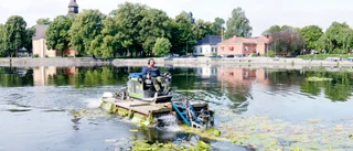 Hans sommarjobb – att röja Eskilstunaån