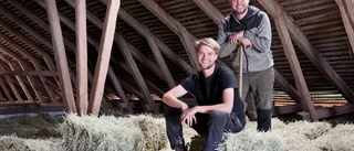 Hopp om en god spannmålsskörd i år