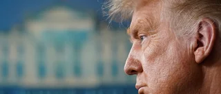 Potent gift skickades per post till Trump