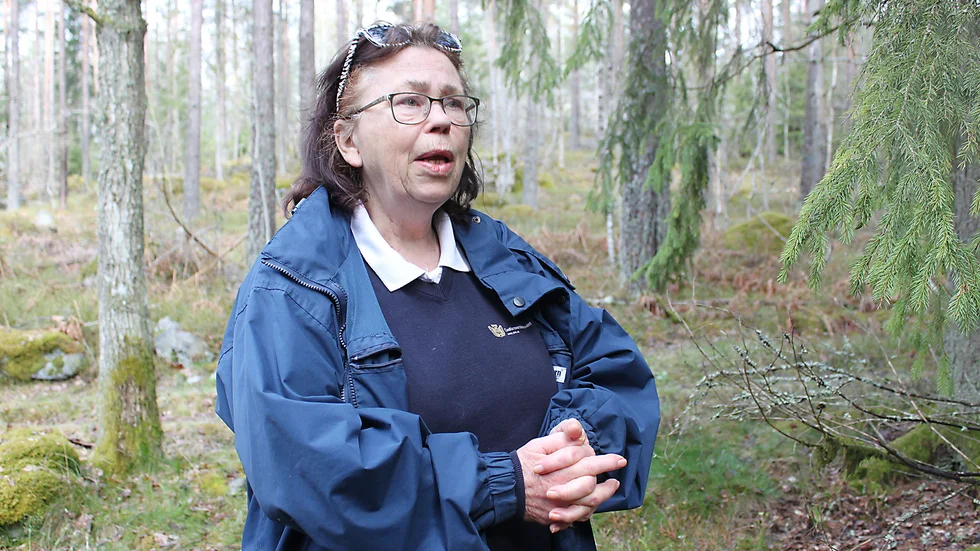 "Vi har reglementet för föreningsbdirag för att få ordning så det är rättvist. Där kan man lägga in det här kravet som villkor för att få föreningsbidrag", säger Lisbeth Brevig (M) om sitt förslag.