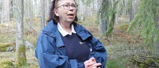 Lisbeth Brevig (M): Politiken kan förebygga övergrepp