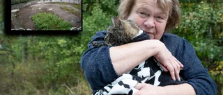 Dramat: Katten Ulla räddades från slambrunnen