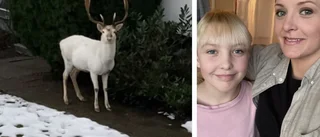  Elsa, 10, trodde att den vita hjorten var konstgjord