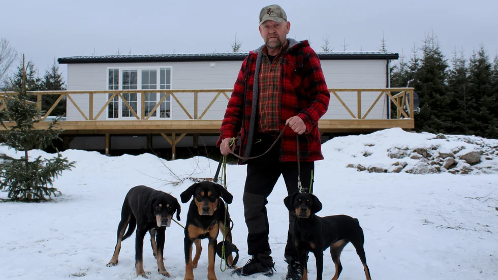 Förutom Rocky så har Kent Ström ytterligare två smålandsstövare som han jagar räv med. Rocky står till vänster, i mitten syns hunden Jansson och till höger syns Akira. 