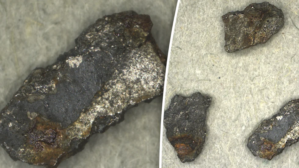 Den bolid som observerades 7 november 2020 orsakade meteoritfall. Några fragment av meteoritskorpa har
hittats nära Enköping. De är cirka 3 millimeter stora.