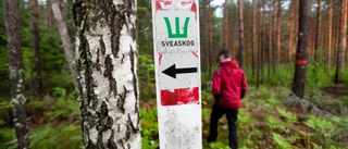 Det vore fel att sälja ut Sveaskog