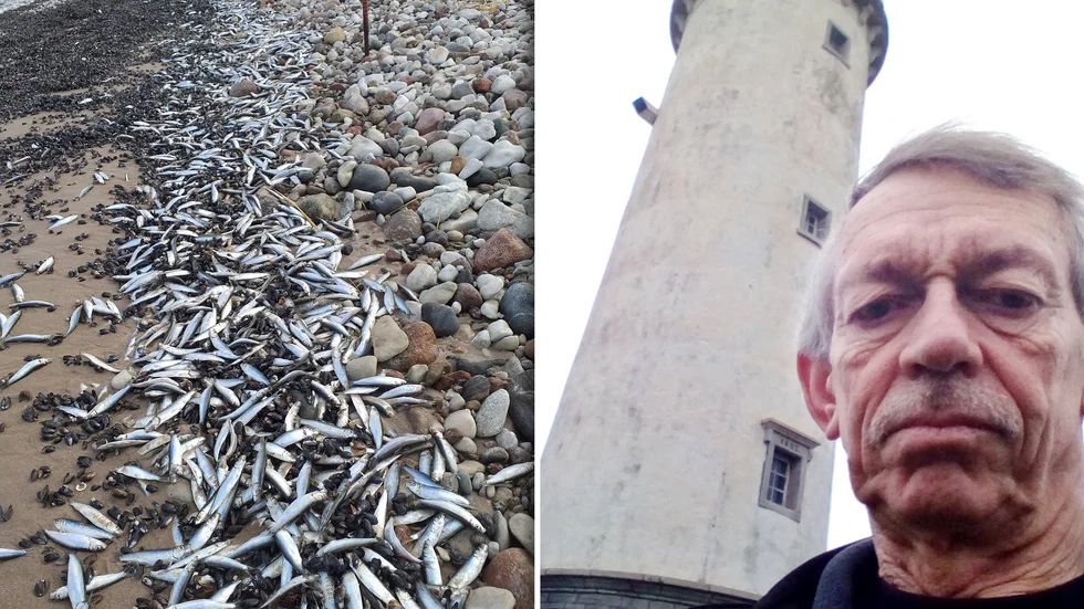 Greger Johansson bor på Fårö tillsammans med sin sambo. Ingen av dem har någonsin sett något liknande.