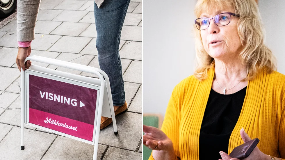Regionstyrelsens ordförande Eva Nypelius (C) tycker att suget på bostadsmarknaden behöver stimuleras med mer tomtmark, men regionen har inte högvis med färdiga detaljplaner för det.