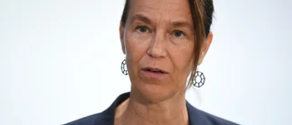 Kritik mot utredaren av ny äldreomsorgslag