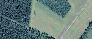 Nya ägare till gård i Bygdsiljum - 410 000 kronor blev priset