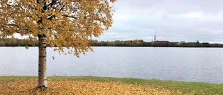 Färgstarkt i läsarnas egna bilder