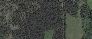En av de tidigare ägarna tar över lantbruksfastighet i Hejde