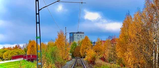 Läsarbilden                   