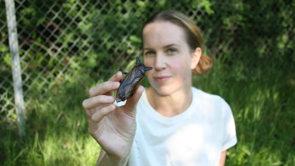 Mia Peterson brukar inte dölja insekterna i maten. "De kan vara både vackra och aptitliga, och jag vill absolut inte lura någon att äta något som de inte vill". I handen har hon en jättesimskinnbagge.