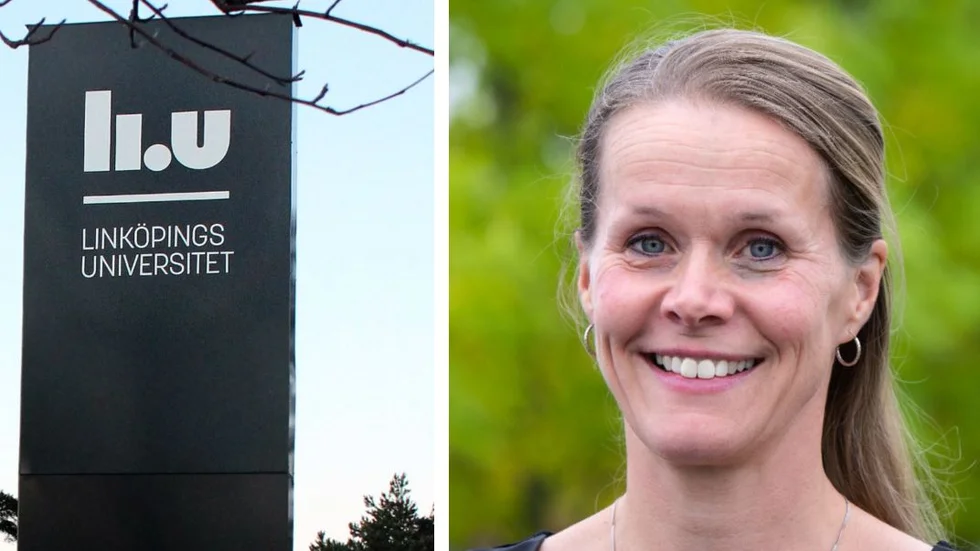 Johanna Rosén, professor vid Linköpings universitet, har tillsammans med kollegor i Linköping och Uppsala universitet fått 29 miljoner kronor från Knut och Alice Wallenbergs stiftelse.